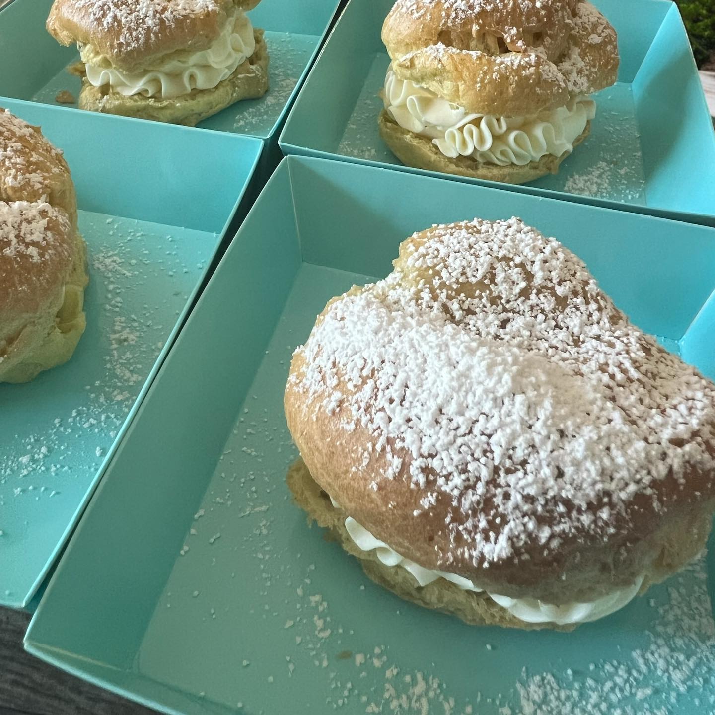 Cream Puff Preorder